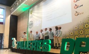 V Congreso Talleres DP Sevilla