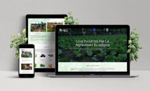 Diseño Web Impulso Ecofarm Acopinb
