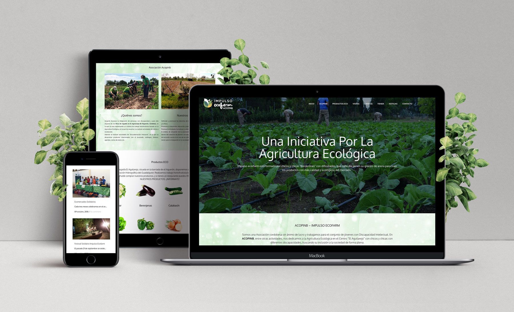 Diseño Web Impulso Ecofarm Acopinb