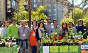 Mercado Ecosolidario Impulso Ecofarm Acopinb