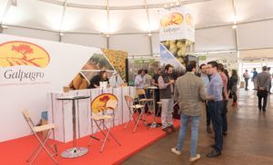 Stand Fimart Galpagro